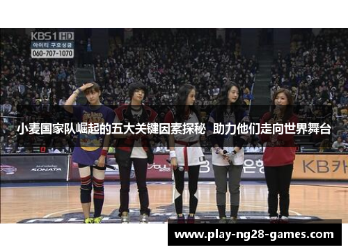 小麦国家队崛起的五大关键因素探秘  助力他们走向世界舞台