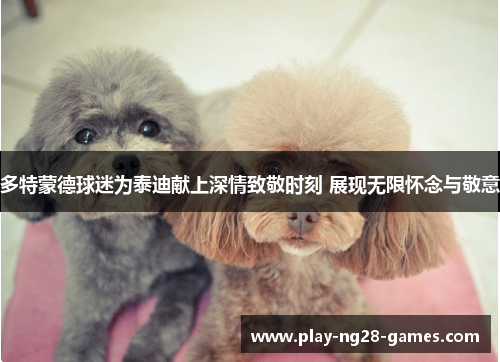 多特蒙德球迷为泰迪献上深情致敬时刻 展现无限怀念与敬意