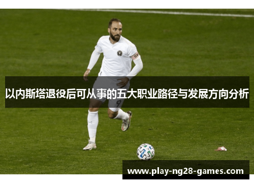 以内斯塔退役后可从事的五大职业路径与发展方向分析