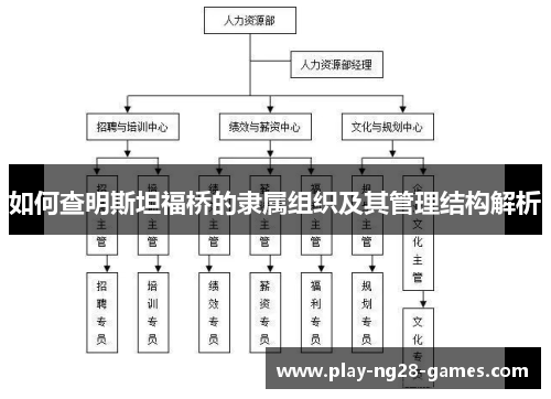 如何查明斯坦福桥的隶属组织及其管理结构解析